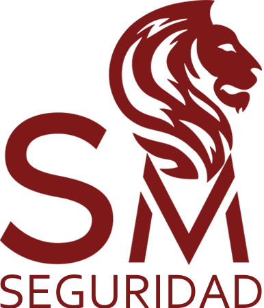 seguridadsm.com.mx